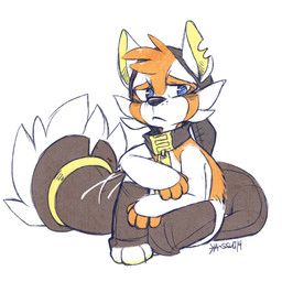 ambiguous_gender anthro blue_eyes cheek_tuft facial_tuft frown fur head_tuft notched_ear orange_body orange_fur sad simple_background sitting solo tuft white_background white_body white_fur yellow_inner_ear zipper darmp ailurid mammal red_panda 1:1 2014 digital_drawing_(artwork) digital_media_(artwork) flat_colors full-length_portrait hi_res portrait