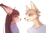 anthro blue_eyes blush brown_hair clothed clothing duo ear_tuft female fur green_eyes hair looking_at_another male open_mouth orange_body orange_fur shirt simple_background tan_body tan_fur topwear tuft white_background yshanii sienna_(yshanii) canid canine fox mammal 2024 digital_drawing_(artwork) digital_media_(artwork) hi_res