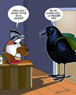 ambiguous_gender backpack beak big_eyes black_body black_feathers bodily_fluids building cooking crying dialogue duo feathers feet feral house looking_at_another male multicolored_body multicolored_feathers shadow speech_bubble standing sweat talons tears text toes unknown_artist avian bird corvid corvus_(genus) oscine passerine raven 2023 4:5 comic spanish_text translated watermark parent_(lore) parent_and_child_(lore) son_(lore)