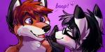 anthro black_hair black_nose blush boop duo eyewear fur glasses hair heart_symbol male orange_body orange_fur orange_hair poking purple_eyes smile teeth white_body white_fur avoid_posting klippy cassius_(foxtalic) denden canid canine canis fox hybrid mammal wolf 2015 2:1 low_res