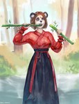 5_fingers asian_clothing bamboo breasts brown_hair clothing east_asian_clothing eating eating_food female fingers hair holding_bamboo mid_transformation one_eye_closed outside red_clothing short_hair solo species_transformation transformation devergilia bear giant_panda human mammal 2021