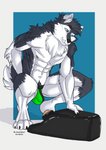 abs absurd_res anthro bulge canid canine canis clothing clownboy1 domestic_dog hi_res husky jockstrap male mammal muscular muscular_anthro muscular_male navel nipples nordic_sled_dog penetrable_sex_toy pocket_pussies sex_toy solo spitz underwear