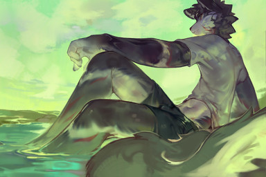 anthro black_bottomwear black_clothing black_shorts bottomwear cheek_tuft clothed clothing facial_tuft fur grey_body grey_fur head_tuft male male_anthro markings mouth_closed neck_tuft partially_submerged red_markings shirt shorts sitting sky slim_anthro slim_male solo t-shirt topwear tuft water white_body white_clothing white_fur white_shirt white_t-shirt white_topwear carbonizedaki canid canine mammal hi_res