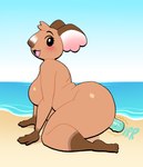 :3 anthro beach big_breasts big_butt blush breasts butt dildo dildo_in_pussy dildo_insertion female huge_breasts kneeling looking_at_viewer nude open_mouth open_smile penetration sex_toy sex_toy_in_pussy sex_toy_insertion side_view smile solo vaginal vaginal_penetration lovetopullmicke animal_crossing nintendo melba_(animal_crossing) koala mammal marsupial vombatiform absurd_res hi_res