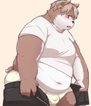 anthro balls_outline belly blush bottomwear brown_body brown_fur bulge clothing detailed_bulge fur genital_outline humanoid_hands kemono male navel overweight overweight_anthro overweight_male pants penis_outline shirt solo topwear underwear hanji1st canid canine canis domestic_dog mammal 2021 hi_res