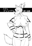 2011 age_restriction anthro big_breasts breasts canid caninu clothed clothing comic cover cover_art cover_page cyberconnect2 eyewear female female_anthro glasses hair inner_ear_fluff japanese_text kazuhiro kemono little_tail_bronx mammal merveille_million monochrome nipples open_clothing open_topwear solatorobo solo text topwear translated tuft