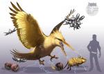 2016 2020 american_mythology animated arvalis avian beak claws digital_media_(artwork) feathered_wings feathers feral generation_1_pokemon hi_res indigenous_north_american_mythology legendary_pokemon magnemite magneton mammal mythological_avian mythological_bird mythological_creature mythological_rainbird mythological_thunderbird mythology nintendo north_american_mythology pokemon pokemon_(species) raichu rodent sphere_creature voltorb wings yellow_body yellow_feathers zapdos