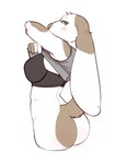 anthro bottomless bra clothed clothing ears_down female partially_clothed pivoted_ears solo underwear undressing ayannzer domestic_rabbit lagomorph leporid lop_rabbit mammal oryctolagus rabbit absurd_res hi_res