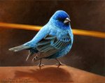 ambiguous_gender beak blue_body blue_feathers copyright_symbol feathers feral realistic solo symbol nambroth avian bird cardinal_(bird) indigo_bunting oscine passerina passerine 2019 oil_painting_(artwork) painting_(artwork) traditional_media_(artwork)