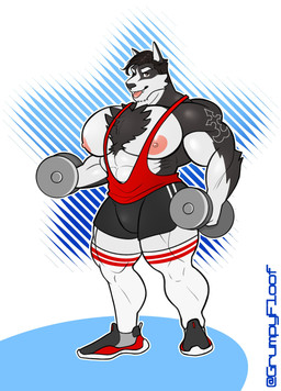 abs abstract_background anthro barazoku big_muscles big_nipples body_hair bottomwear chest_hair clothed clothing dumbbell exercise footwear hair knee_highs knee_socks legwear looking_at_viewer male muscular muscular_anthro muscular_male nipples one_eye_closed pecs shirt shoes shorts smile socks solo standing tank_top tattoo text tongue tongue_out topwear weightlifting weights wink workout grumpyfloof canid canine canis mammal wolf 2021 absurd_res hi_res url