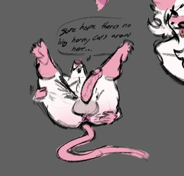 anthro anus butt genitals legs_up lying male on_back penis solo speech_bubble spread_butt spread_legs spreading ratrat13 vlad_cool mammal murid murine rat rodent
