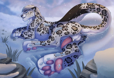 4_toes anus balls bedroom_eyes erection feet feral foot_focus genitals looking_at_viewer looking_back lying male narrowed_eyes on_front outside pawpads paws penis perspective pink_pawpads quadruped rear_view seductive smile snow solo spots tail teasing teasing_viewer toes hailberry kazik_feral felid mammal pantherine snow_leopard 2023 digital_drawing_(artwork) digital_media_(artwork) hi_res