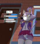 amber_eyes anthro clothed clothing female fur hidden_vibrator masturbation panties public purple_body purple_fur remote_controlled_vibrator sex_toy sex_toy_under_clothing solo text underwear upskirt vibrator vaithun sega sonic_the_hedgehog_(series) blaze_the_cat silver_the_hedgehog domestic_cat eulipotyphlan felid feline felis hedgehog mammal