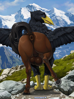 anus backsack balls bedroom_eyes big_balls big_butt black_body black_feathers black_tail brown_body brown_fur butt dock_(anatomy) equine_anus feathered_wings feathers feral fur genitals hooves looking_at_viewer looking_back looking_back_at_viewer male mountain narrowed_eyes perineum presenting presenting_hindquarters puffy_anus scenery seductive solo tail wings truegrave9 european_mythology greek_mythology mythology graculux avian bird corvid corvus_(genus) crow hippogriff mythological_avian mythological_creature oscine passerine 2025 hi_res
