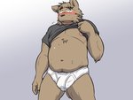 anthro belly blush briefs brown_body brown_fur bulge clothed clothing clothing_lift fur humanoid_hands kemono male moobs navel nipples open_clothing open_shirt open_topwear overweight overweight_anthro overweight_male shirt shirt_lift simple_background solo tighty_whities topwear underwear white_briefs white_clothing white_underwear oogamikennta canid canine canis domestic_dog mammal 2016 4:3