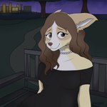 anthro bench clothed clothing dress eyelashes female fluffy hair hair_down jewelry necklace night park park_bench sitting smile solo procyoni canid canine canis domestic_dog mammal 1:1 absurd_res hi_res