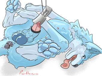 anatomically_correct anatomically_correct_anus anatomically_correct_genitalia anatomically_correct_penis animal_genitalia animal_penis anus balls butt butt_focus canine_genitalia canine_penis claws erection feet feral foot_fetish foot_focus genitals knot knot_in_sheath knotted_penis male pawpads paws penis puffy_anus sheath solo teeth tongue tongue_out rexthenurse canid canine canis domestic_dog mammal wolf 4:3 absurd_res hi_res