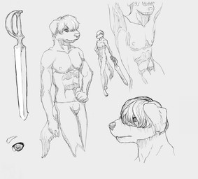 abs animal_genitalia anthro balls blind bulge disability genitals male melee_weapon nipples pose sheath solo sword weapon 9x9 canid canine canis domestic_dog maltipoo mammal monochrome sketch
