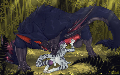all_fours anthro anthro_on_feral ball_size_difference balls bamboo beak bestiality blue_body blue_fur bodily_fluids butt claws digitigrade drooling duo erection feral finger_claws fur genital_fluids genitals grass grey_body grey_fur handjob it'll_never_fit knot knotted_penis larger_feral larger_male leopard_spots licking looking_at_another looking_at_genitalia looking_at_penis male male/male male_anthro male_feral male_on_anthro male_on_feral oral penile penis penis_lick plant precum pupils quadruped raised_arm saliva scuted_arms scuted_legs scutes servicing_from_below sex size_difference slit_pupils smaller_anthro smaller_male spots tail thick_tail toe_claws tongue wings yellow_eyes cannibalistic_tendencies capcom monster_hunter mythology dragon felid flying_wyvern mammal mythological_creature mythological_scalie nargacuga pantherine scalie snow_leopard absurd_res hi_res shaded