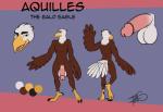 anthro balls big_balls big_penis genitals male muscular muscular_anthro muscular_male nude penis solo text freckles_(artist) war-bird aaron_(war-bird) accipitrid accipitriform avian bald_eagle bird eagle sea_eagle english_text hi_res model_sheet