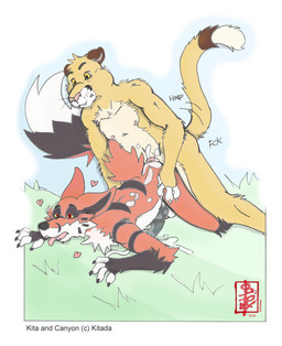 anal anal_penetration anthro black_penis bodily_fluids cum cum_inside cum_on_back cum_on_ground dominant duo from_behind_position genital_fluids genitals heart_symbol kita_(kyre) male male/male mounting penetration penis rough_sex sex fennec_(artist) canid canine cougar felid feline fox mammal hi_res