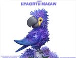 ambiguous_gender avian beak bird blue_body blue_feathers digital_media_(artwork) digital_painting_(artwork) elemental_creature english_text feathered_wings feathers feral flora_fauna flower humor hyacinth_(flower) hyacinth_macaw macaw neotropical_parrot parrot piper_thibodeau plant pun purple_eyes simple_background solo text true_parrot url visual_pun white_background wings yellow_body yellow_feathers