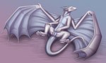 blush claws female feral fur genitals lying membrane_(anatomy) membranous_wings nude on_back pawpads paws presenting pussy solo spread_legs spreading tail white_body white_fur wings shadarrius mythology alli dragon furred_dragon furred_scalie mythological_creature mythological_scalie scalie 2019