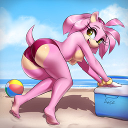 accessory anthro ball barefoot beach beach_ball big_butt black_nose blue_sky bracelet breasts butt butt_heart clothed clothing cloud detailed_background feet female female_anthro gloves green_eyes hair hair_accessory hairband handwear headband headgear headwear ice_box inflatable jewelry looking_back medium_breasts nipples open_mouth outside panties pink_body pink_hair pose purple_clothing purple_panties purple_underwear sand seaside sky smile solo swimwear tail thick_thighs topless topless_anthro underwear water wide_hips salacisil sega sonic_the_hedgehog_(series) amy_rose eulipotyphlan hedgehog mammal 1:1 digital_drawing_(artwork) digital_media_(artwork) hi_res shaded signature