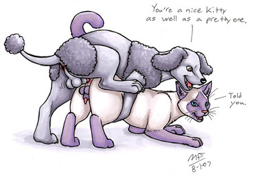 all_fours anal anal_penetration bolero_clip butt dialogue doggystyle duo erection feral feral_on_feral from_behind_position genitals interspecies male male/male male_penetrated male_penetrating male_penetrating_male mounting penetration penis raised_leg rounded_back sex text conditional_dnp moodyferret canid canine canis domestic_cat domestic_dog felid feline felis mammal poodle 2007 english_text traditional_media_(artwork)