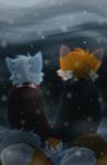 duo female hand_holding male male/female snow crownedvictory sampson_(thymetime) tailskemon ailurid canid canine domestic_cat felid feline felis fox hybrid mammal red_panda hi_res