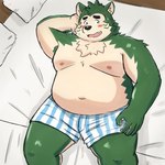 anthro bed belly big_belly black_nose blush clothing countershading furniture green_body humanoid_hands kemono male moobs navel nipples overweight overweight_male pillow solo underwear yaki_atsuage lifewonders live_a_hero mokdai canid canine canis domestic_dog mammal 1:1 2022