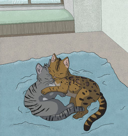 ambiguous_gender black_body black_fur black_stripes brown_body brown_fur cuddling detailed_background digitigrade duo eyes_closed feral fur grey_body grey_fur inside lying paws pink_nose striped_body striped_fur stripes tail whiskers sebdoggo domestic_cat felid feline felis mammal 2012 aliasing cel_shading digital_drawing_(artwork) digital_media_(artwork) microsoft_paint_(artwork) shaded