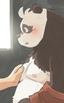 anthro belly black_body black_nose blush duo kemono male moobs nipples overweight overweight_male pink_blush solo_focus white_body garouzuki crave_saga shaoren_(crave_saga) bear giant_panda mammal 2023 hi_res