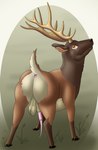 animal_genitalia animal_penis antlers anus backsack balls butt cervine_genitalia cervine_penis feral genitals hooves horn male penis presenting presenting_anus presenting_hindquarters presenting_penis rear_view solo tiny_terrible cervine deer elk mammal hi_res