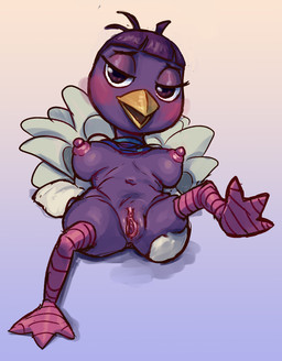 3_toes anthro anus avian_feet bangs beak bedroom_eyes big_breasts big_nipples blush breasts breasts_apart clitoris clothed clothing erect_nipples eyelashes feathers featureless_hands feet female front_view genitals gradient_background hair holding_butt looking_at_viewer lying mostly_nude narrowed_eyes navel nipples on_back open_beak open_mouth pink_nipples presenting presenting_vulva purple_eyes purple_hair raised_clothing raised_leg raised_shirt raised_topwear seductive shirt short_hair simple_background solo tail tail_feathers toes topwear vulva pears_(artist) animal_crossing nintendo queenie_(animal_crossing) avian bird ostrich ratite 2019 colored_sketch hi_res sketch