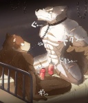 abs anthro argent_cookie balls bdsm bear bed biceps big_muscles big_penis blue_eyes bodily_fluids bondage bound brown_bear brown_body brown_fur canid canine canis censored censored_genitalia censored_penis chain chain_leash circumcised collar dominant dominant_male duo erection eye_contact flaccid from_front_position fur furniture genitals grizzly_bear half-erect hi_res japanese_text kemono kneeling leash looking_at_another male male/male male_on_bottom male_on_top mammal mastery_position mota mttn muscular muscular_male nude on_bottom on_top pecs penis rope scar sex sitting straddling submissive submissive_male sweat tail text translated ursine wolf