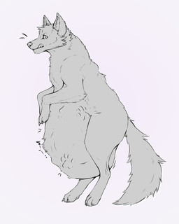 bloated female feral imprint male musclegut muscular navel oral_vore overweight same_size_vore soft_vore solo thick_thighs vore lesventin furaffinity canid canine canis domestic_dog mammal wolf 4:5 absurd_res hi_res