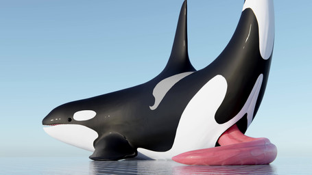 animal_genitalia animal_penis big_penis black_body black_eyes cetacean_genitalia cetacean_penis feral genital_slit genitals glistening glistening_body glistening_genitalia glistening_penis long_penis low-angle_view male multicolored_body open_mouth penis pink_penis presenting presenting_penis simple_background solo tail tapering_penis teeth two_tone_body vein veiny_penis very_long_penis wiggle qubane aquatic cetacean dolphin mammal oceanic_dolphin orca toothed_whale 16:9 2025 3d_(artwork) 3d_animation 4k absurd_res animated blender_(artwork) digital_media_(artwork) hi_res loop no_sound short_playtime video widescreen