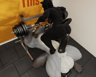 abs anthro anthro_on_anthro balls bench_press big_balls big_breasts big_butt big_muscles big_penis black_penis breasts butt digitigrade duo exercise female female_anthro genitals gym hot_dogging huge_balls huge_penis humanoid_genitalia humanoid_penis hybrid_genitalia hybrid_penis inside knot knotted_humanoid_penis knotted_penis larger_male male male/female male_anthro muscular muscular_female muscular_male pecs penis sex size_difference smaller_female weightlifting workout agreenfish 2dongz_(modeler) annoad_(modeler) shani_(annoad) canid canine canis felid feline mammal wolf 3d_(artwork) 5:4 blender_(artwork) blender_cycles_(artwork) digital_media_(artwork) hi_res