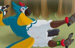 anthro balls beak blue_body butt erection feathers forest forest_background fur genitals holding_penis looking_at_viewer lying male nature nature_background on_side penis plant raised_leg smile solo tail tree drayyko breath_of_the_wild nintendo the_legend_of_zelda kass_(tloz) avian bird rito 14:9 absurd_res digital_media_(artwork) hi_res