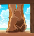 4_toes anthro barefoot beach blue_sky brown_body brown_fur brown_pawpads canid canine cloud feet foot_focus foot_shot fox foxer421_(character) fur hi_res hindpaw male mammal paw_shot pawpads paws sand seaside sky soles solo tirrel toes
