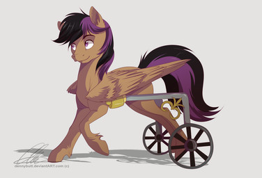 black_hair disability feathered_wings feathers feral hair male male_feral multicolored_hair purple_eyes purple_hair simple_background solo text two_tone_hair vehicle wheelchair white_background wings dvixie friendship_is_magic hasbro my_little_pony mythology stellar_eclipse_(mlp) equid equine mammal mythological_creature mythological_equine pegasus 2014 url
