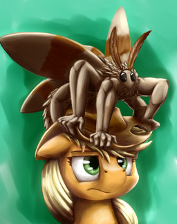 annoyed clothing duo female feral hat headgear headwear what_has_magic_done otakuap friendship_is_magic hasbro my_little_pony applejack_(mlp) fluffy_the_bringer_of_darkness arthropod earth_pony equid equine horse insect lepidopteran mammal moth pony 2015 absurd_res hi_res