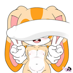 anthro disembodied_penis duo female flat_chested fur genitals gesture hand_gesture male male/female navel nipples nude penis simple_background smile thick_thighs v_sign young young_anthro young_female jazzyrakk can't_see_the_haters sega sonic_the_hedgehog_(series) cream_the_rabbit lagomorph leporid mammal rabbit 1:1 absurd_res digital_media_(artwork) hi_res meme
