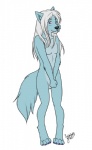 4_toes 5_fingers anthro biped black_nose blue_body blue_fur chibi claws covering covering_crotch covering_self digitigrade feet femboy fingers front_view fur grey_hair hair inner_ear_fluff long_hair looking_at_viewer male nude purple_eyes simple_background smile solo standing tail toes tuft white_background cyiakanami skye_(wolf) canid canine canis mammal wolf hi_res