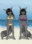 anthro beach big_breasts bikini black_hair black_nose breast_size_difference breasts clothed clothing duo facial_markings female fur grey_body grey_fur hair head_markings markings mask_(marking) medium_breasts navel ring_(marking) ringed_tail seaside square_crossover standing striped_markings striped_tail stripes swimwear tail tail_markings two-piece_swimsuit sailoranna tracy_(sailoranna) mammal procyonid raccoon 2019 hi_res