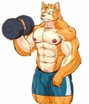 abs anthro biceps big_muscles blue_eyes bodily_fluids bottomwear brown_body brown_fur bulge canid canine clothed clothing dumbbell exercise fur holding_object male mammal muscular muscular_anthro muscular_male nipples obliques orange_body orange_fur pecs purple_nipples shorts simple_background sketch solo spandex spandex_shorts standing sweat tan_body tan_fur tight_bottomwear tight_clothing tight_shorts topless triceps tsukigata_rossi vein veiny_muscles weightlifting weights white_background white_body white_fur workout