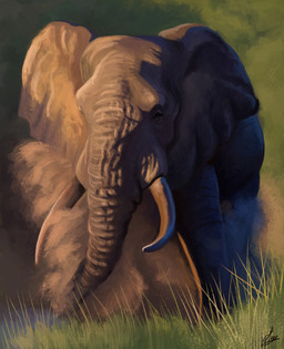feral grass grey_body grey_skin plant proboscis_(anatomy) quadruped savanna solo trunk_(anatomy) tusks wrinkles agustindiazart african_elephant elephant elephantid mammal proboscidean 2023 hi_res