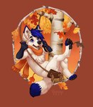 anthro autumn autumn_leaves birch_tree blue_body blue_fur blue_hair chin_piercing fur hair male mostly_nude plant scarf scarf_only solo swing tree white_body white_fur chibi-marrow thewolfpilot canid canine canis mammal wolf