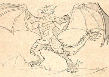 anthro athletic athletic_anthro athletic_male claws ear_frill erection fangs frill_(anatomy) front_view genitals head_spikes horn humanoid_genitalia humanoid_penis hybrid_genitalia hybrid_penis knot knotted_humanoid_penis knotted_penis looking_at_viewer male male_anthro membrane_(anatomy) membranous_wings narrowed_eyes nude open_mouth outside penis pose rock solo spiked_tail spikes spikes_(anatomy) spread_wings standing tail teeth toe_claws tongue tongue_out wing_claws wings hufnaar mythology dragon mythological_creature mythological_scalie scalie 2022 absurd_res dated full-length_portrait hi_res monochrome portrait sketch